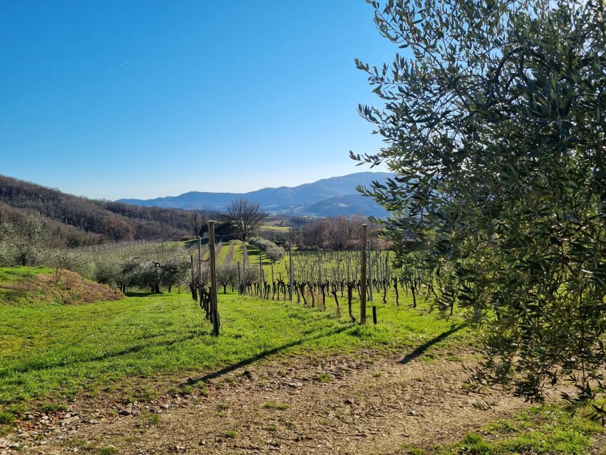 Walkandrace Sant'Agata  Extérieur photo